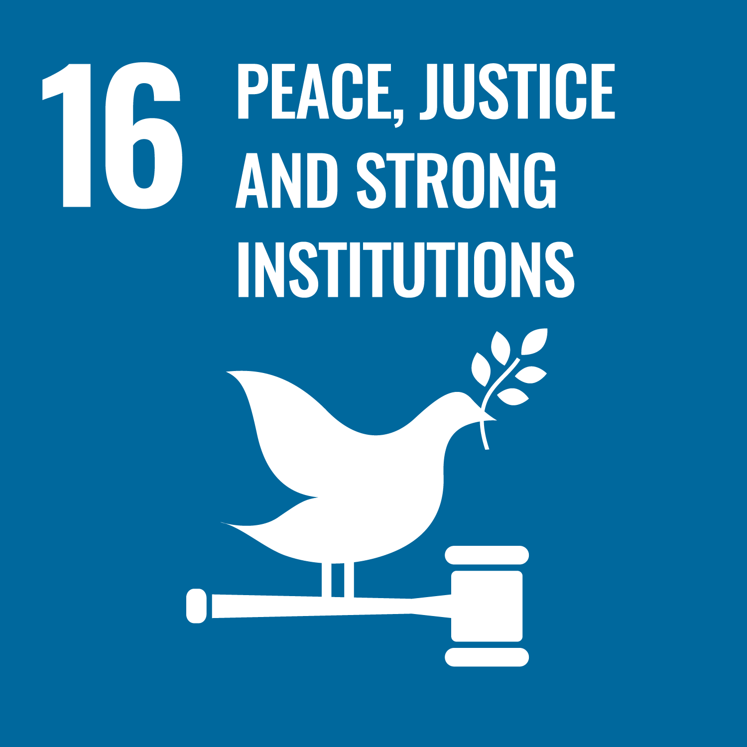SDG 16: 투명경영 및 국제 기준 준수
